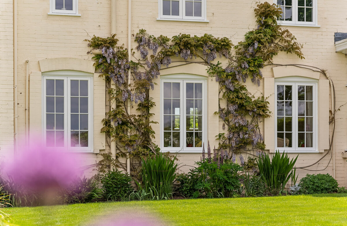 three casement windows with wisteria growing around them