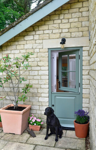 a black dog sitting in front of a partially open green stable door